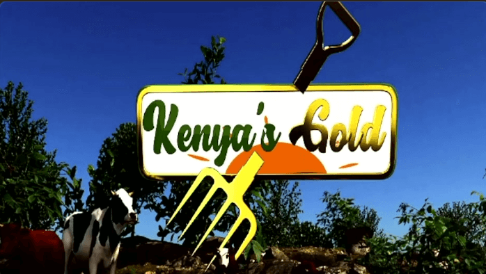 Kenya's Gold