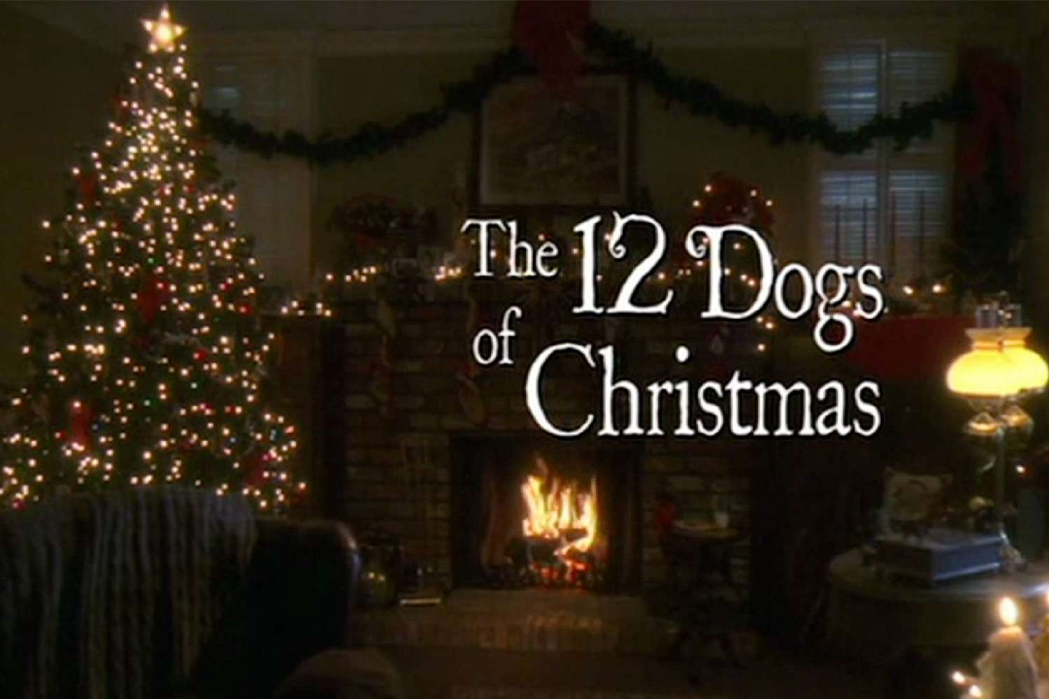 The 12 Dogs Of Christmas