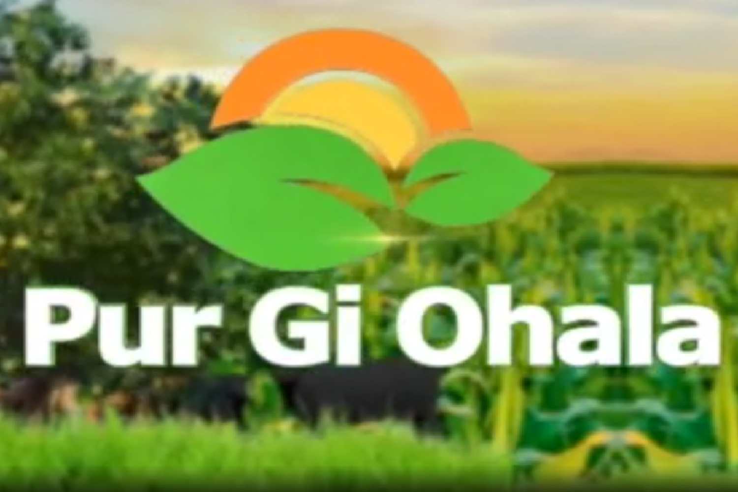 Pur Gi Ohala
