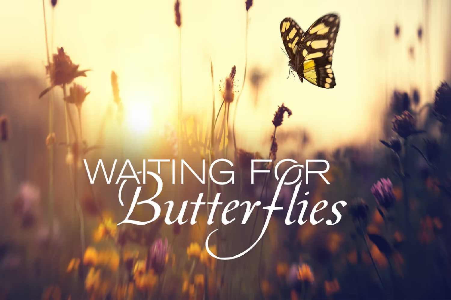 Waiting For Butterflies